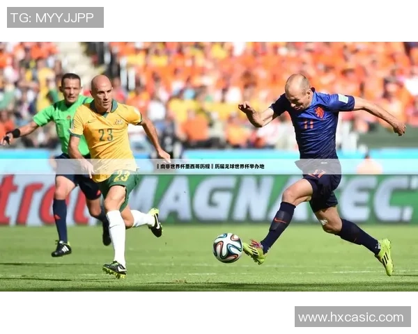 足球明星博客版下载全新上线畅享精彩赛事与球员生活的独特视角